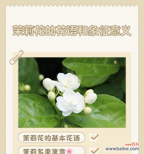 哪些花富含爱情寓意?它们的花语是什么?