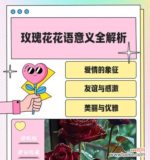 哪些花富含爱情寓意?它们的花语是什么?