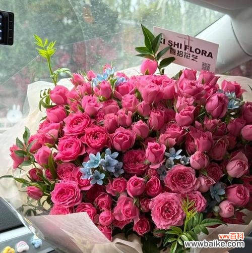 送粉红色花的含义是什么?它的寓意又有哪些?