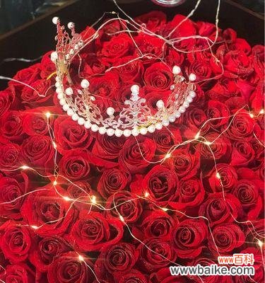 红玫瑰、满天星等代表挚爱的花朵 花开一生，代表挚爱