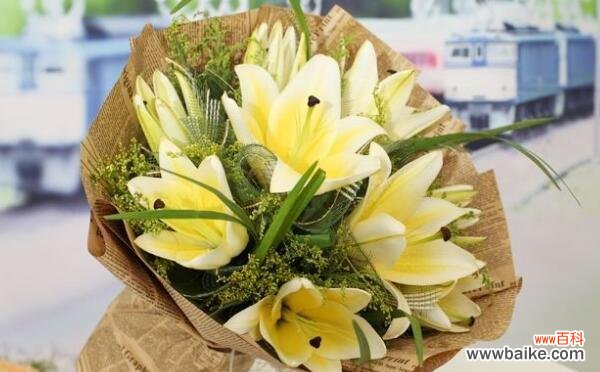 以代表友情的花为主题,探索友谊的力量与美好 友情之花