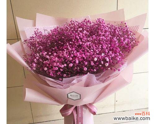 探寻友情花的芬芳与力量 友情花开，相伴终生