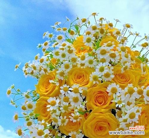 用花花讲述友情的美丽故事 友情之花花绽放