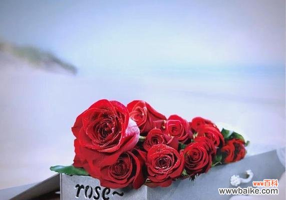 希腊文化中有哪些花的寓意？