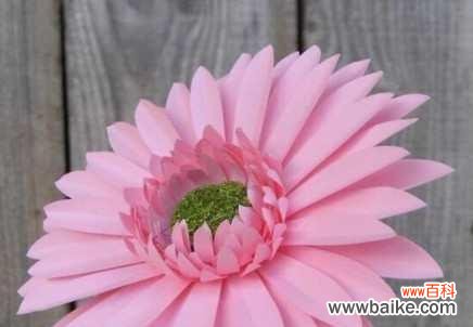 深色八朵花巾代表什么?如何正确使用?