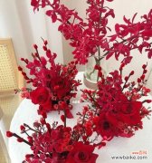 红色老虎花象征着什么？它的寓意是什么？