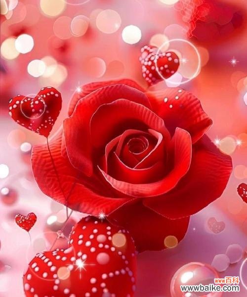 等待爱情的花朵有哪些象征意义?