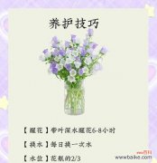 等待爱情的花朵有哪些象征意义？