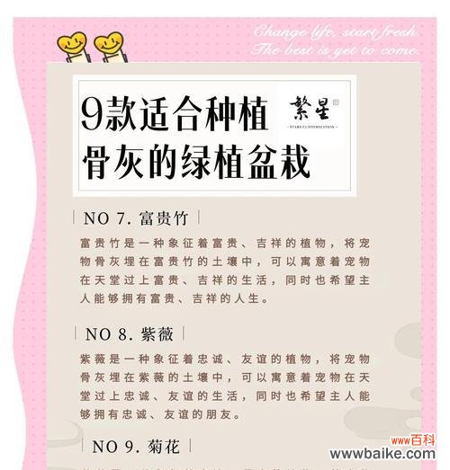 花葬有何文化意义？花葬的传统含义是什么？