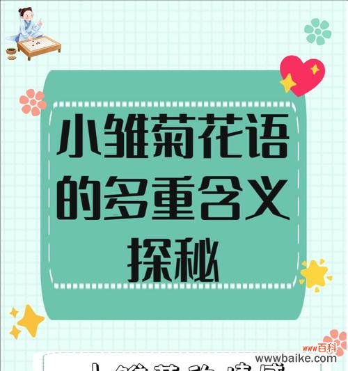 哪种颜色的花象征纯洁与热烈？它们的花语是什么？