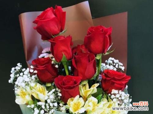 七色玫瑰花的花语是什么？七色玫瑰花的寓意有哪些？