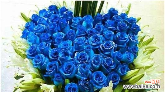 9朵蓝色玫瑰花代表什么含义?