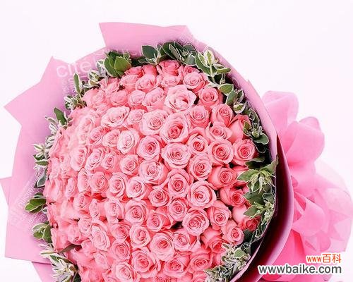 揭示粉玫瑰的浪漫、爱情与美丽 粉玫瑰的含义与象征