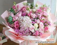 探索粉色玫瑰花的美丽，感受它传递的深情和浪漫 粉色玫瑰花的象征意义与浪漫传说