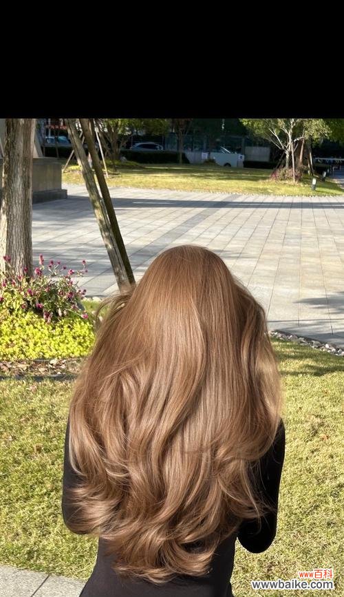 棕色玫瑰花有何象征意义?它在送礼时传达了哪些情感?