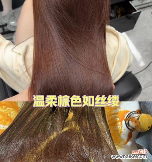 棕色玫瑰花有何象征意义?它在送礼时传达了哪些情感?