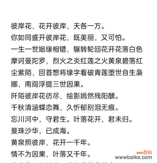 彼岸花的传说含义是什么?彼岸花在文化中的象征意义是什么?