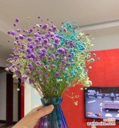 哪种花的花语是守望爱情？