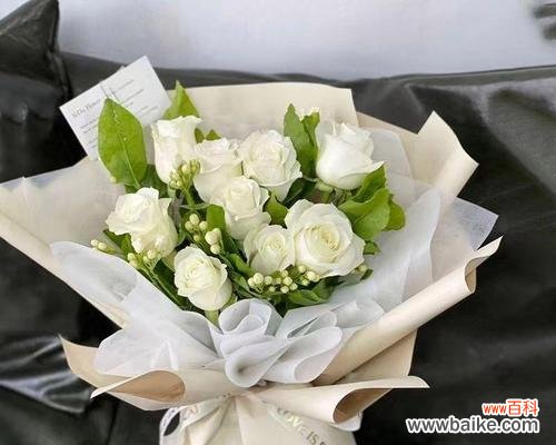 三朵白色玫瑰花的含义是什么？白色玫瑰传递什么信息？