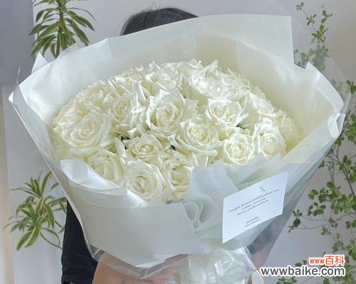 三朵白色玫瑰花的含义是什么？白色玫瑰传递什么信息？