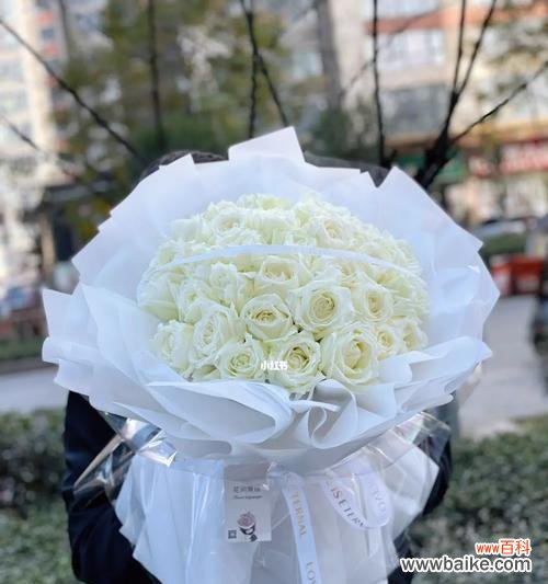 三朵白色玫瑰花的含义是什么？白色玫瑰传递什么信息？