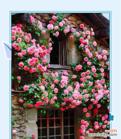 黄色仿真花的寓意是什么?了解黄色花的象征含义!830