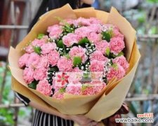 探索康乃馨花语的含义和象征 康乃馨花语-粉色的温柔之美