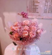 粉色满天星花语的祝福与表达，传递爱与美的情感 粉色满天星花语的送花对象及意义