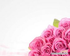 揭示粉色玫瑰花所代表的爱、美和温柔 粉色玫瑰花的浪漫含义