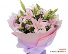 以花言巧语，赠送友谊的礼物 友谊之花