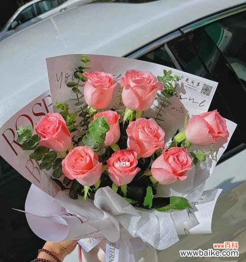 美丽独特的戴安娜玫瑰及其寓意 戴安娜玫瑰