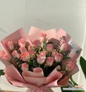 戴安娜玫瑰的传说与象征意义 探寻戴安娜玫瑰的花语奥秘