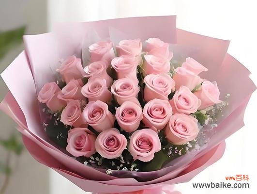 象征爱情的花有哪些类别？