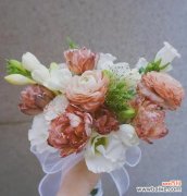 手捧花每种颜色代表什么意义？