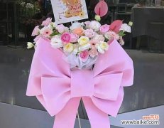 粉色花篮代表什么花的寓意？粉色花篮的花语是什么？