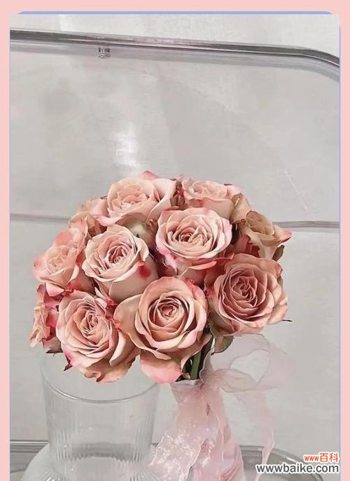 寓意暴富的手捧花是什么？如何选择？