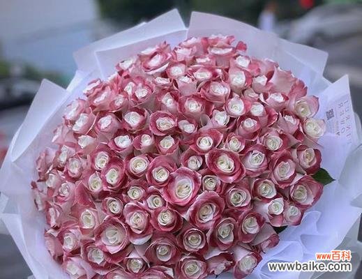 抽彩色棒送玫瑰花的寓意是什么?如何通过颜色选择表达情感?