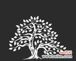 角堇黑色花语是什么？角堇黑色代表什么意义？