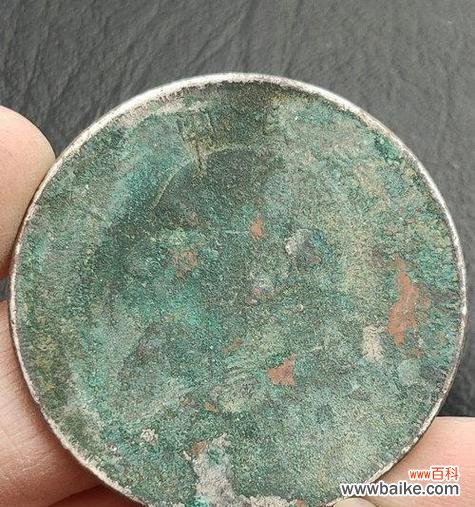 袁大头竹节花寓意着什么？它在花语中有什么特别含义？