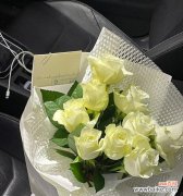 送一支白色玫瑰花代表什么？白色玫瑰的寓意是什么？