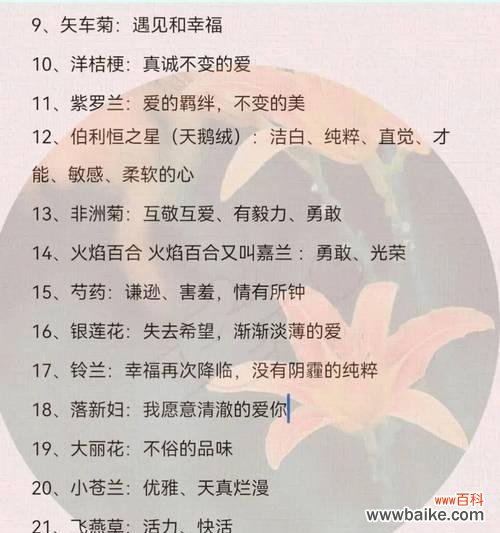 哪种花的花语象征快乐？它们的寓意是什么？