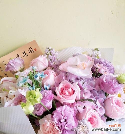 手捧花中的百合象征着什么?百合花语有哪些?