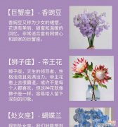 紫色花的爱情寓意是什么？紫色代表爱情的花有哪些？