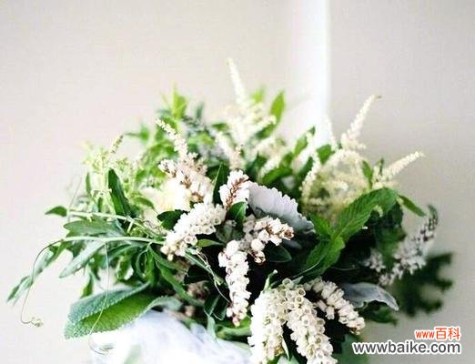 手捧花带花托的寓意是什么?它们代表了什么?