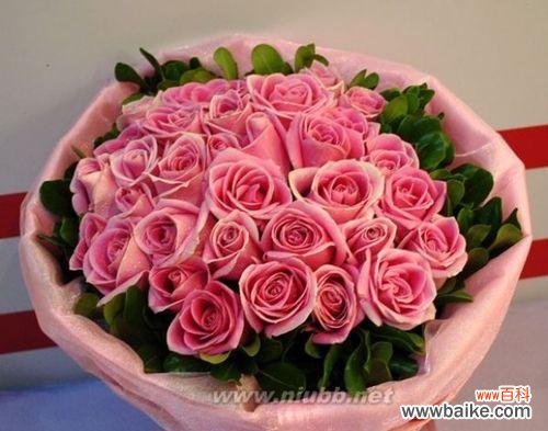 探索粉色玫瑰花的神秘花语和美好寓意 粉色玫瑰花的花语与寓意