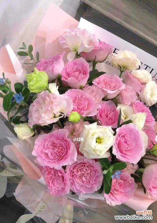 花开两行泪，情意暗藏于朵朵花瓣间 深情表白，11朵粉玫瑰的意义