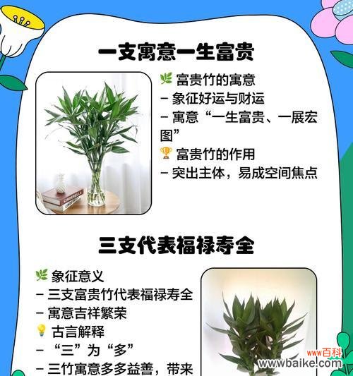 竹节茉莉花的寓意是什么?它们象征着什么?