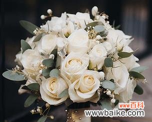 手捧花中加入珍珠有何寓意?真花加珍珠的花束代表什么?