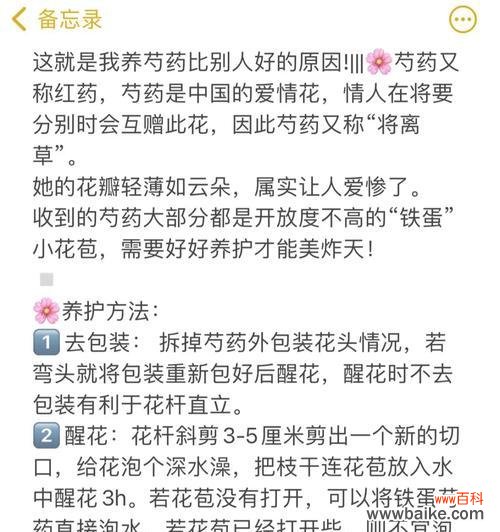 花和小草的爱情寓意是什么?爱情句子中花和小草代表什么?