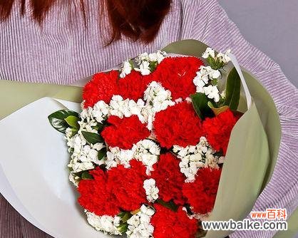 探究红色康乃馨的含义和象征 红色康乃馨花语与寓意